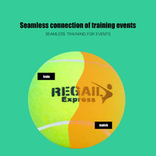 Load image into Gallery viewer, 12PCS Tennis Balls Sport Play Practice Cricket Dog Toy Tennis Practice  Training Balls Tennis Coach
